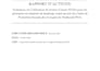 write professional reports summaries and documents